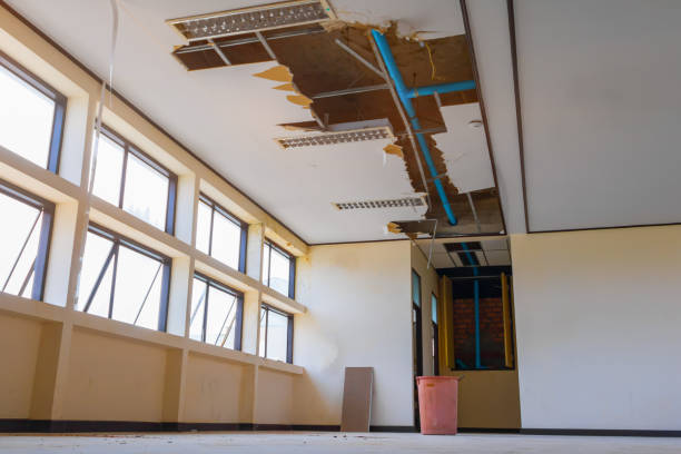 Best Flood restoration services  in Cleveland, GA