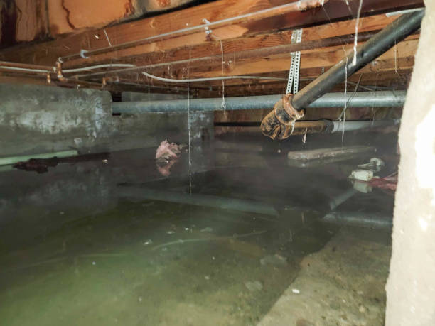 Cleveland, GA Water damage restoration Company