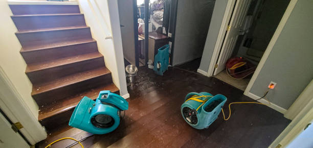 Best Ceiling water damage repair  in Cleveland, GA