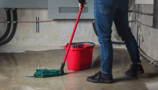 Best Sewage cleanup and water damage restoration  in Cleveland, GA