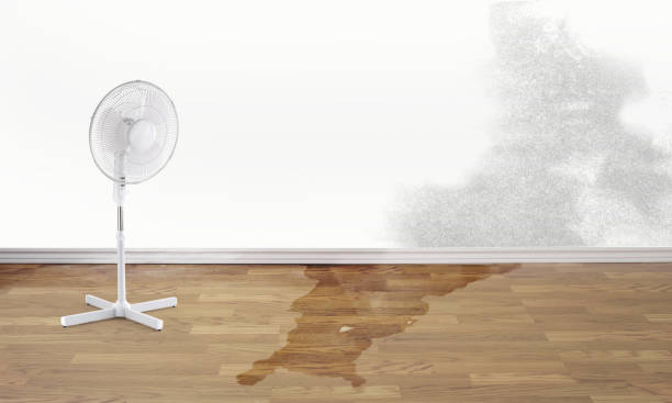 Water damage restoration process in Cleveland, GA