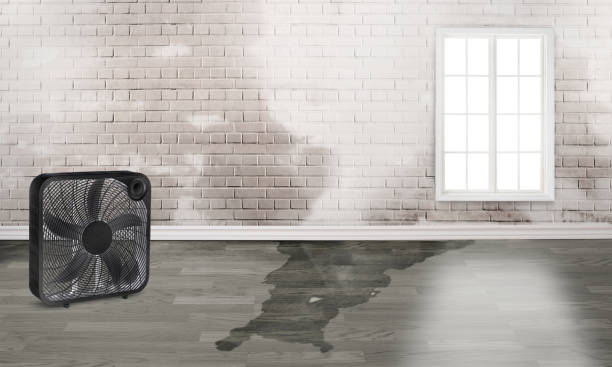  Cleveland, GA Water damage restoration Pros
