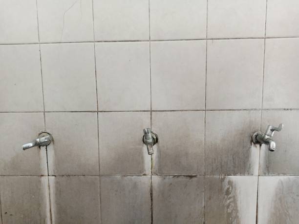 Best Water damage cleanup near me  in Cleveland, GA