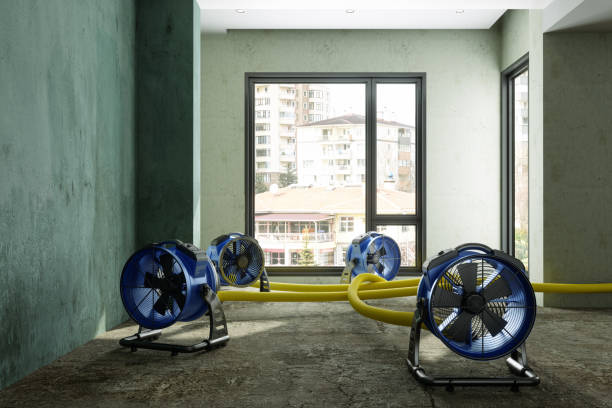 Best Flood restoration services  in Cleveland, GA