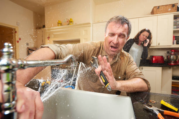 Best Fire Damage Restoration  in Cleveland, GA